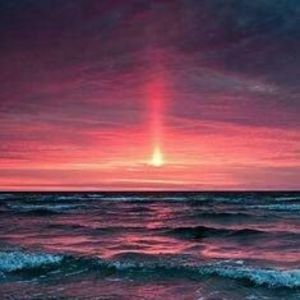 Meet your Posher, Chloe